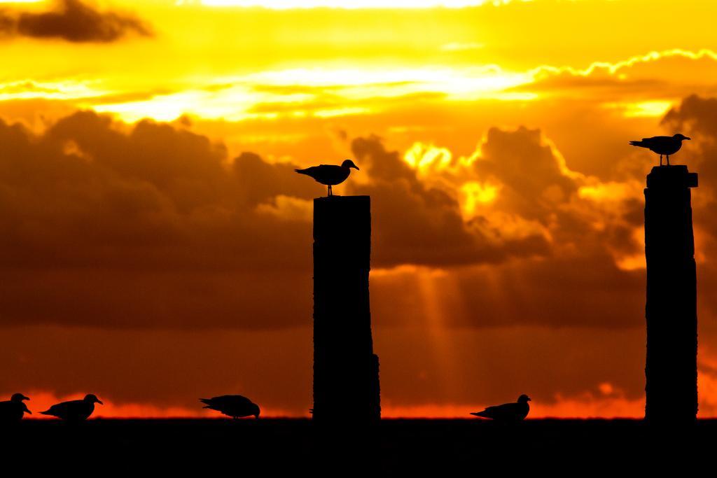 Pannenkoekhuis Vierwegen Domburg